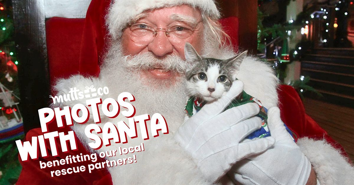 Photos with Santa benefitting Cozy Cat Cottage (Graceland)