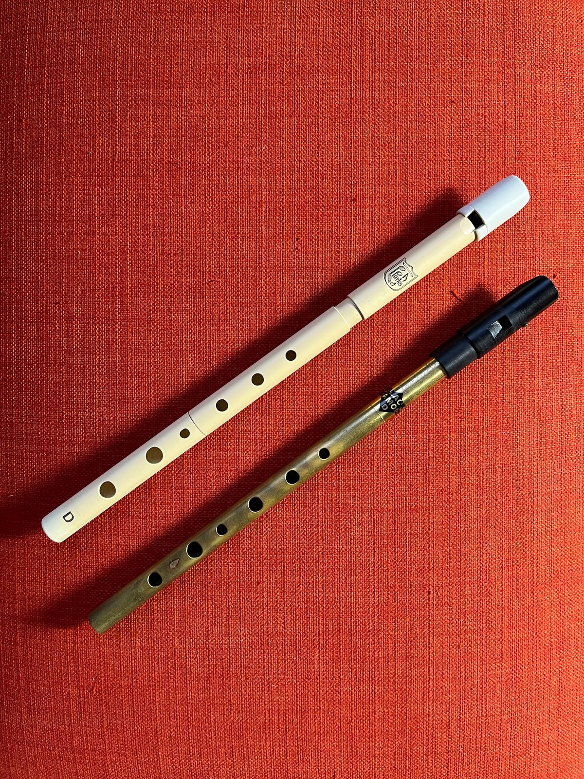 iiri tinavile algajate r\u00fchm \/ Irish Tinwhistle Beginner Group