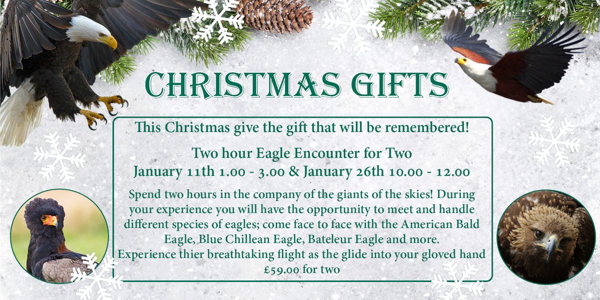 Christmas Gifts - Two Hour Eagle Encounter for Two