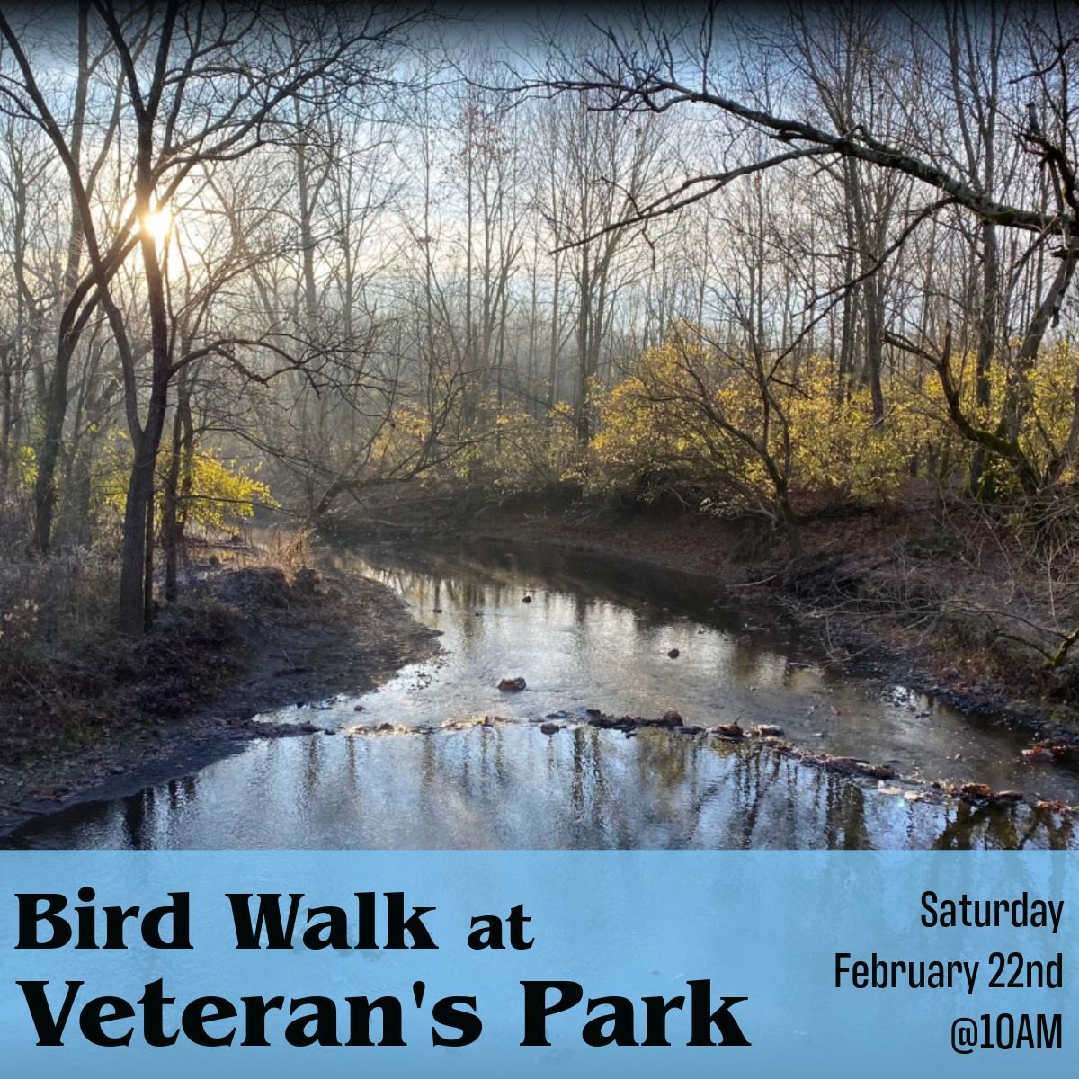 Bird Walk at Veteran's Park