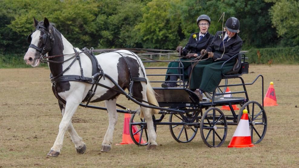 Carriage Driving Summer Show 2024