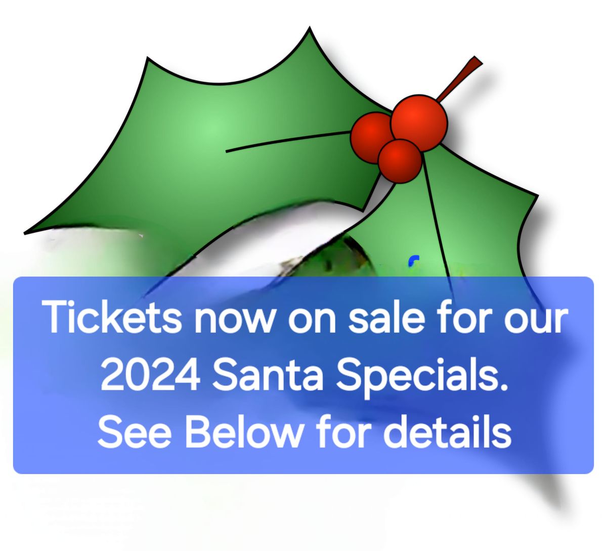 2024 SANTA SPECIALS