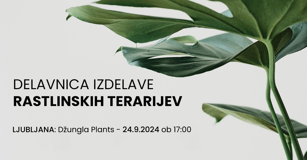 Delavnica izdelave Rastlinskih Terarijev