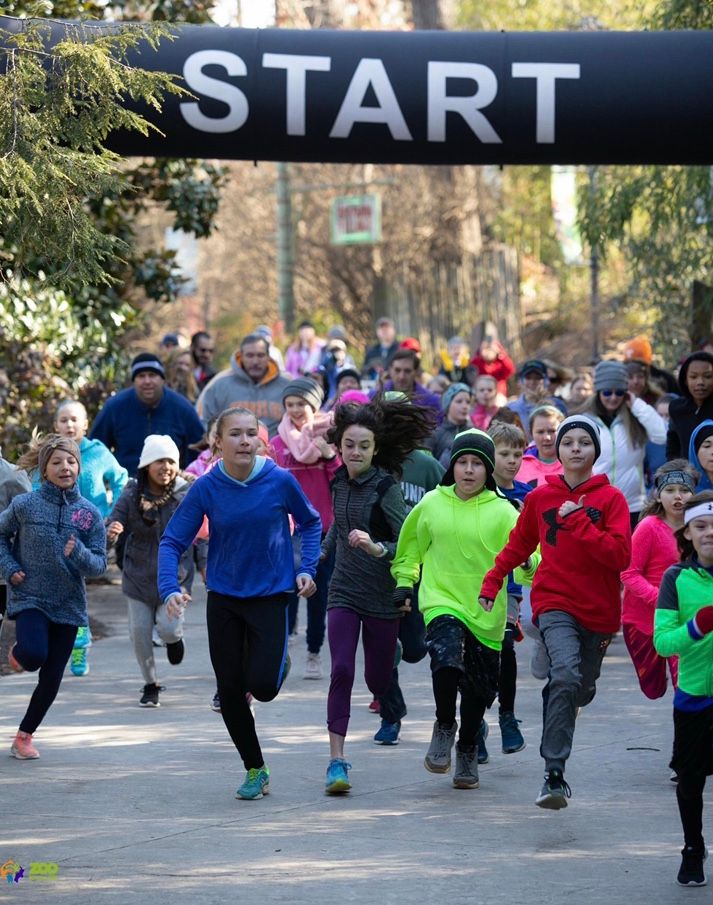 Covenant Kids Run Kickoff at Zoo Knoxville