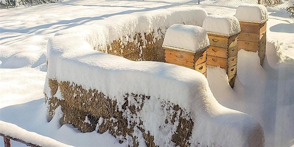 Bees 103: Getting Through Winter 2026
