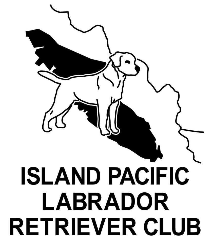 IPLRC Supported Entry for Labradors