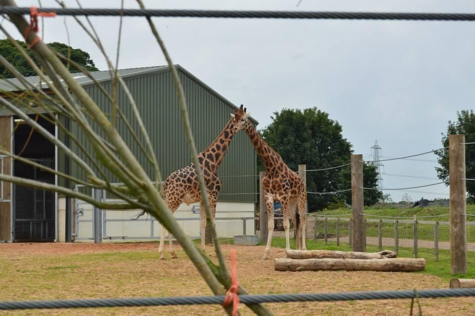 Yorkshire Wildlife Park