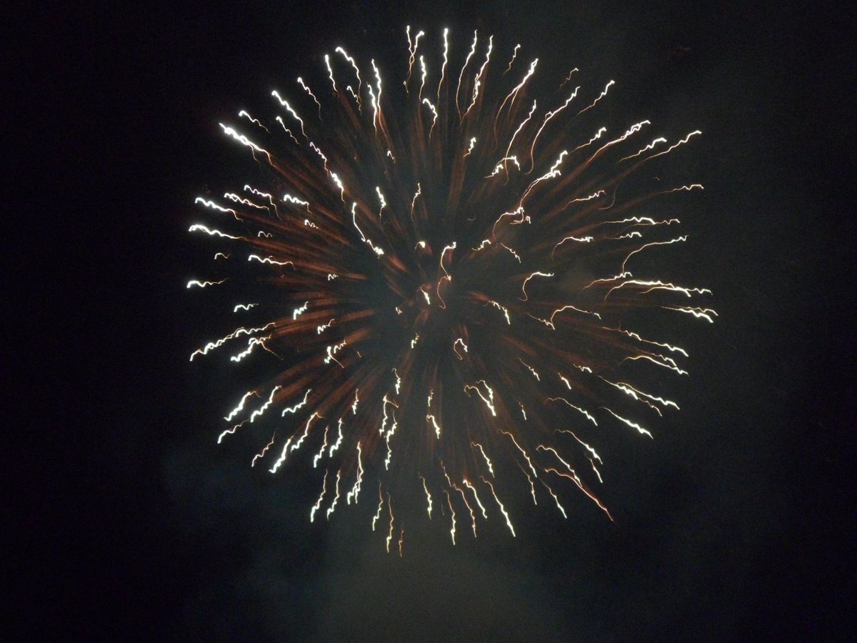 Shireoaks & Rhodesia Fireworks Soectacular 2024