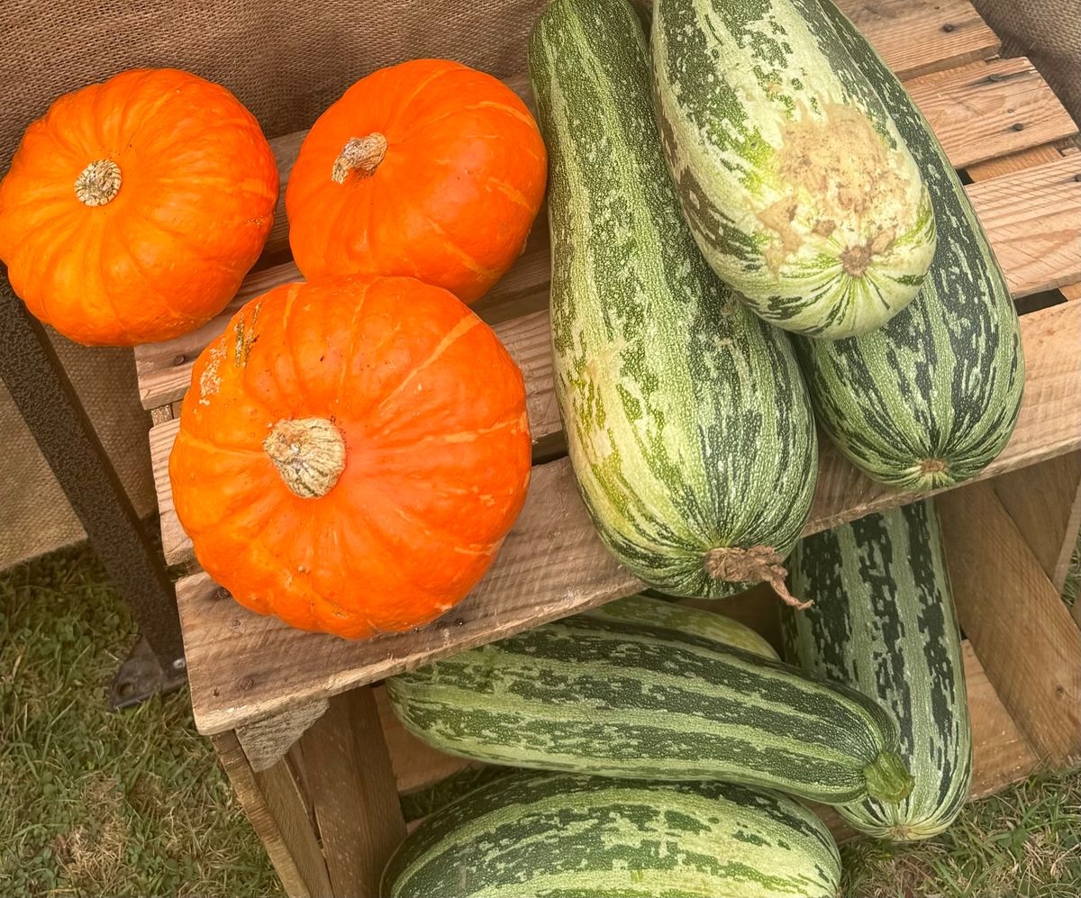 Lesnes Abbey Autumn Farmers Market\ud83c\udf42 