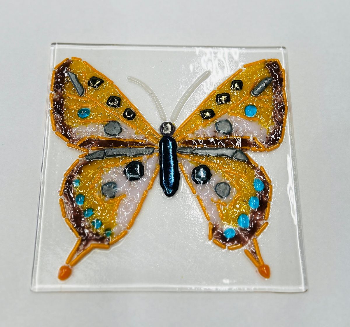 Butterfly Glass Shard  Class