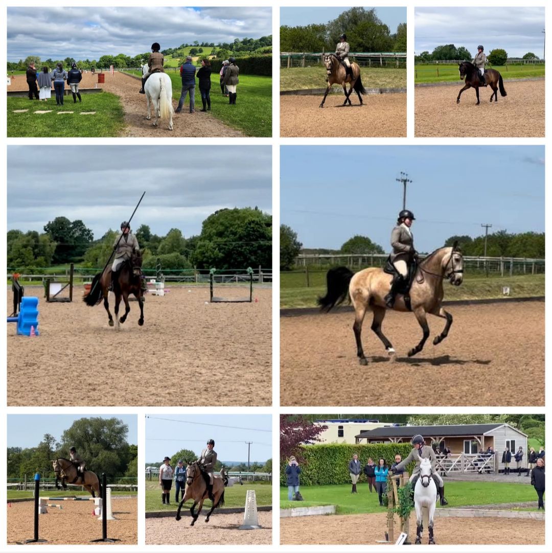 ABWE Regional Working Equitation @CCR