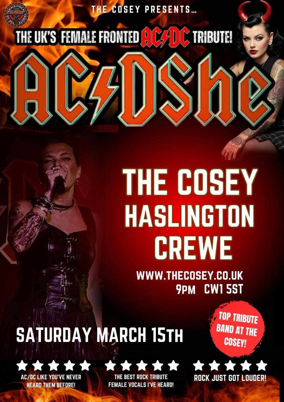 AC\/DShe at The Cosey