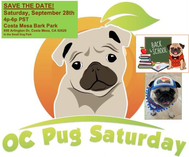 OC Pug Saturday: Yappy Hour