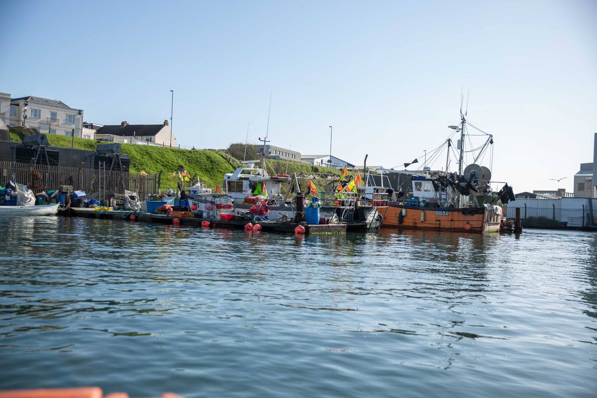 Fishing for Tomorrow: Shoreham Port's Sustainable Seafood Initiatives
