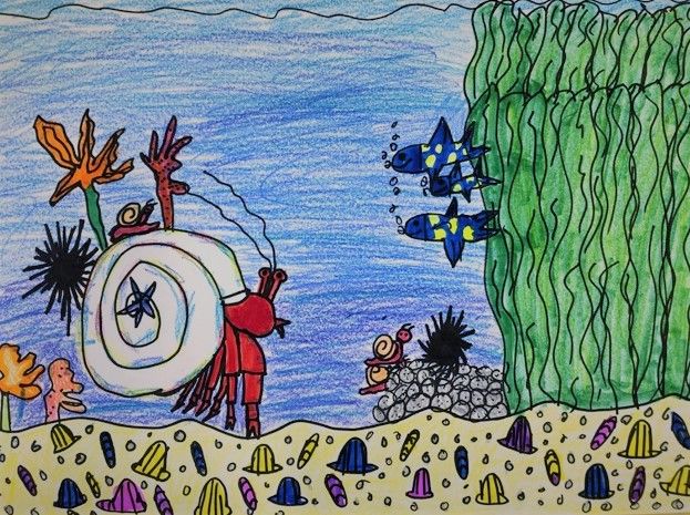 Ages 5-9 Illustrate Your Ocean Story with Robin Eberhardt