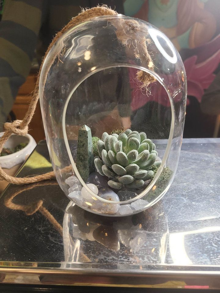 Build Your Own Terrarium Class!, 611 Crystals and Energy Healing, La