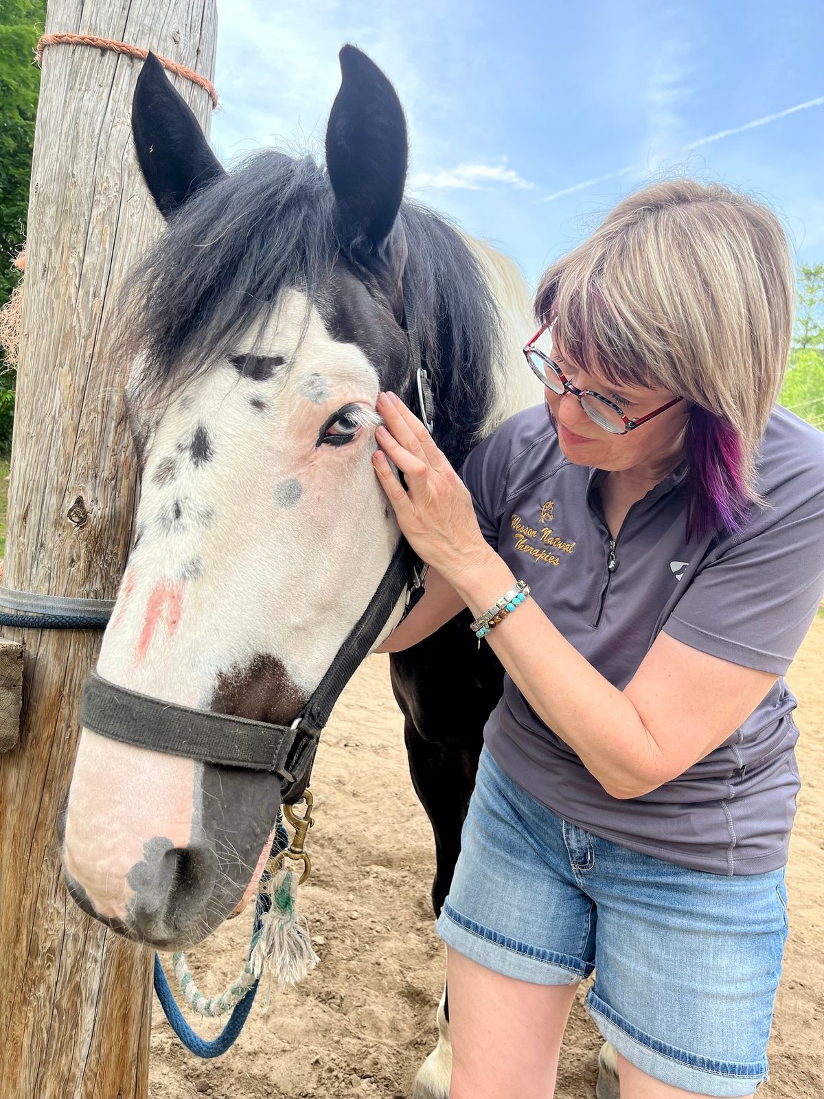 Intro to Equine Manual Lymph Drainage Seminar featuring 'The Grooming Technique'