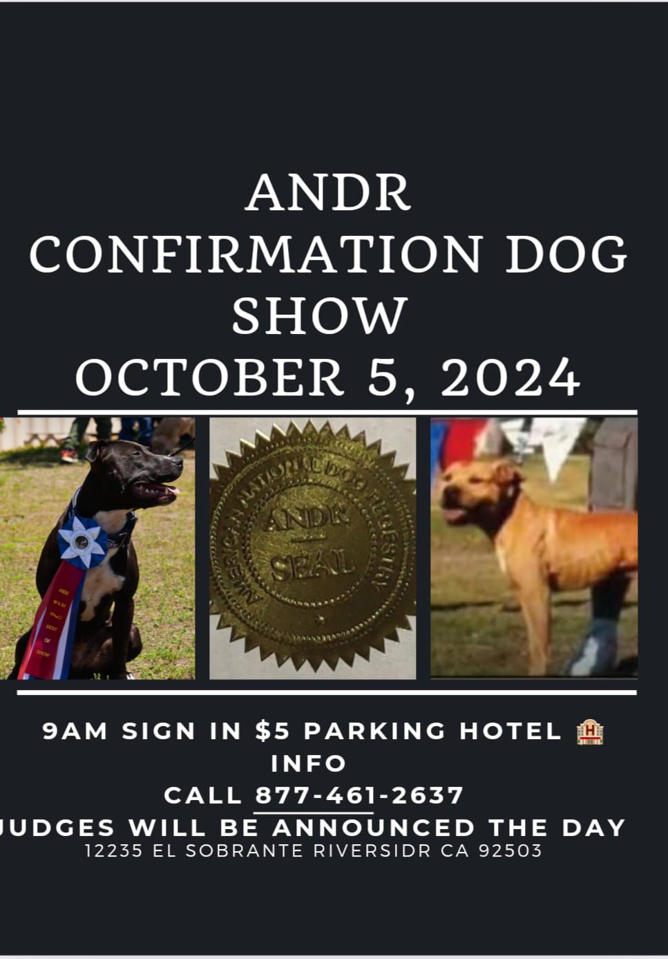 ANDR Dog Show