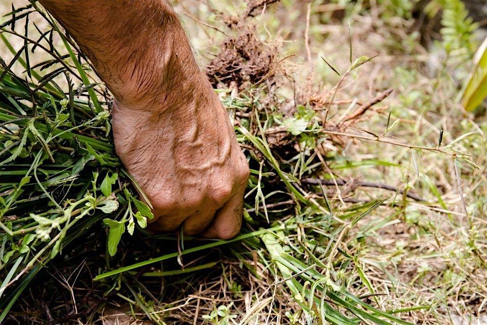 GREEN GTBOP Webinar Series - Thursday, May 14, 2026