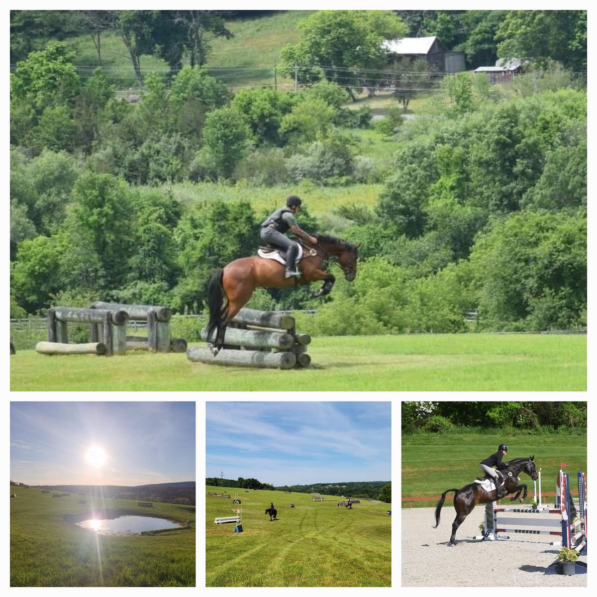 Boyd Martin Winter Clinic