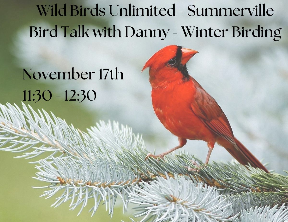 Bird Talk with Danny - Winter Birding