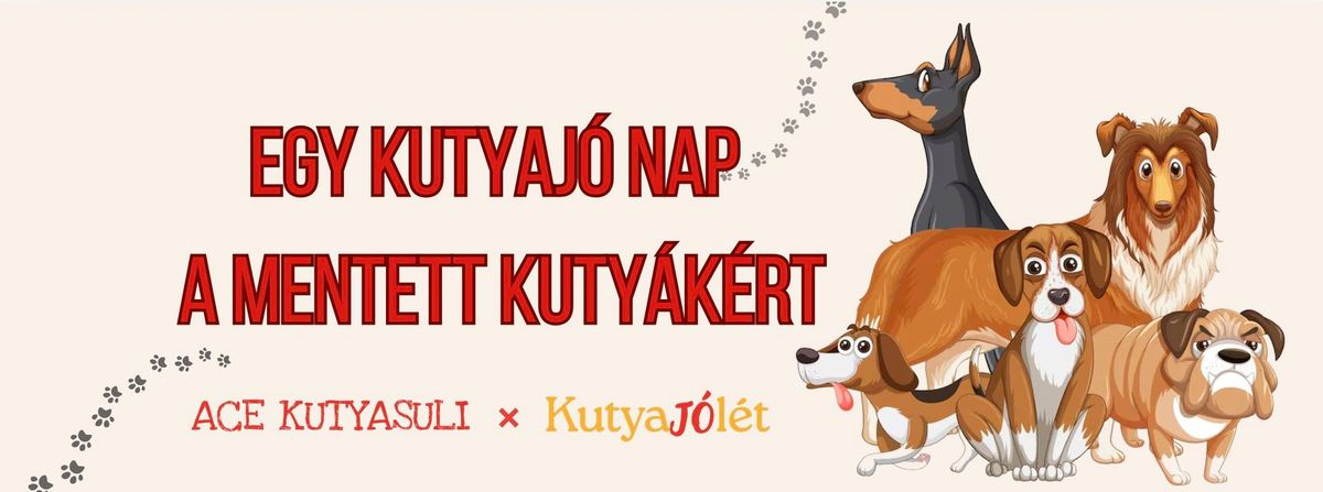 Kutyaj\u00f3 nap a mentett kuty\u00e1k\u00e9rt