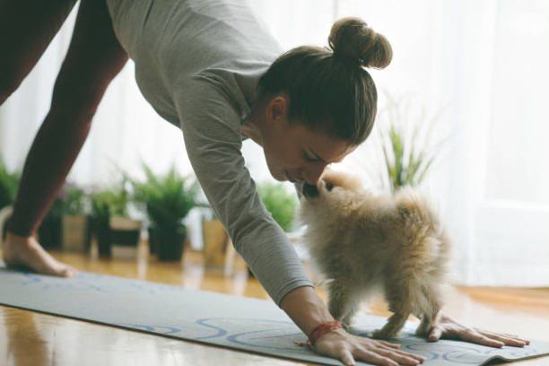 Puppy Yoga (Donation-Based) - Jersey City