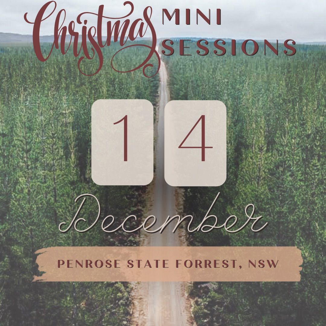 Christmas Mini Sessions 