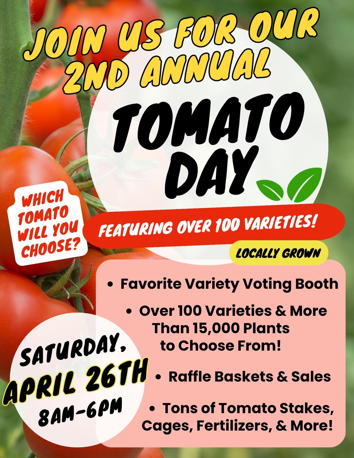 Tomato Day at Sweetbay!