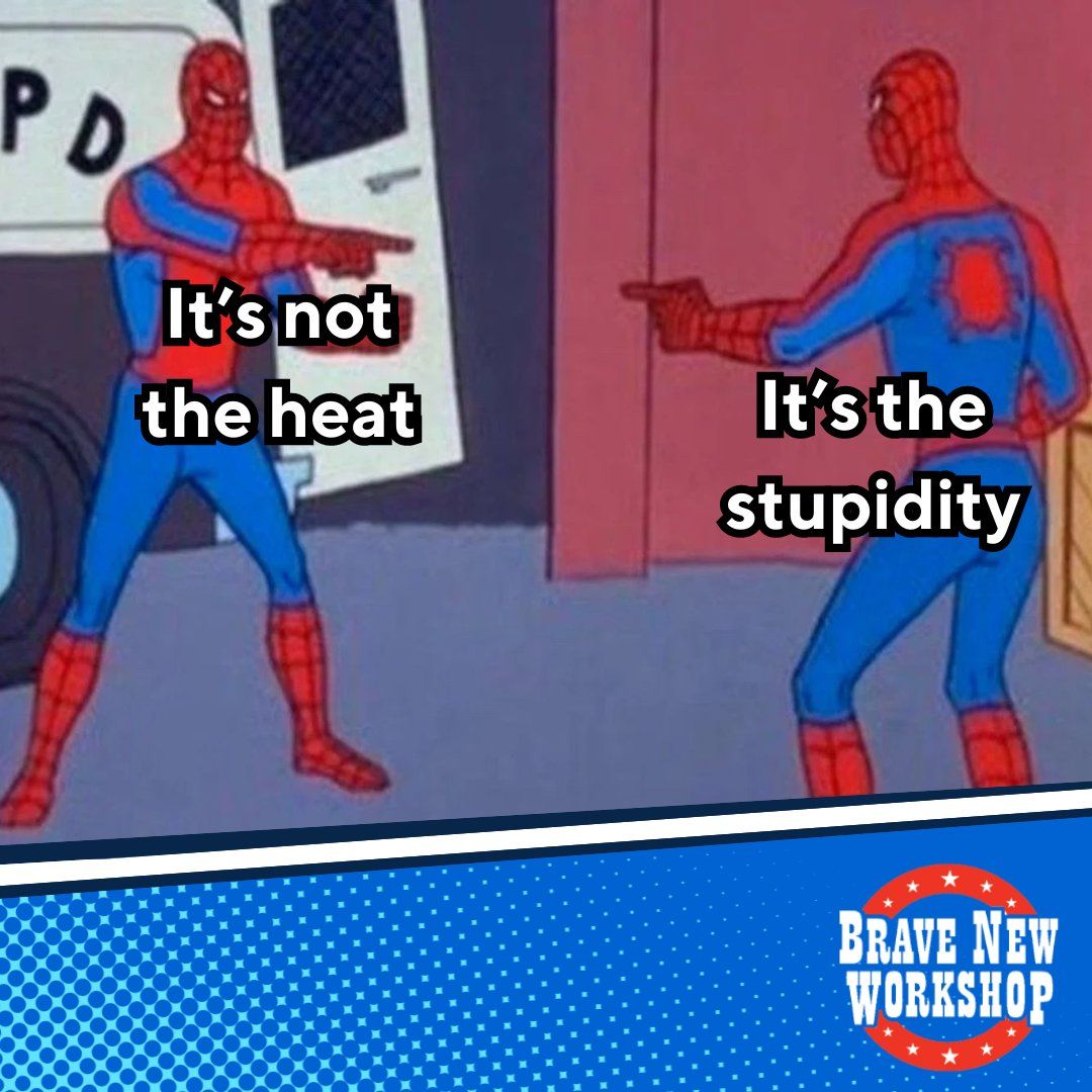 Its Not the Heat Its the Stupidity - 2 Hot 2 Stupid