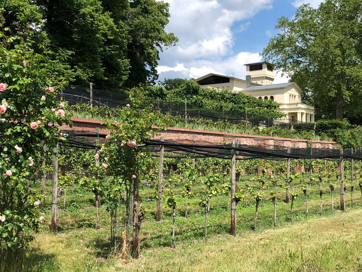 Weinfest im Park der Villa Jacobs