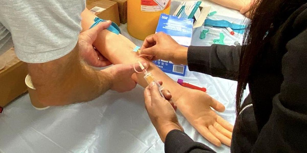 Phlebotomy (Venepuncture) Live Blood Draws -  Competency (1 Day)