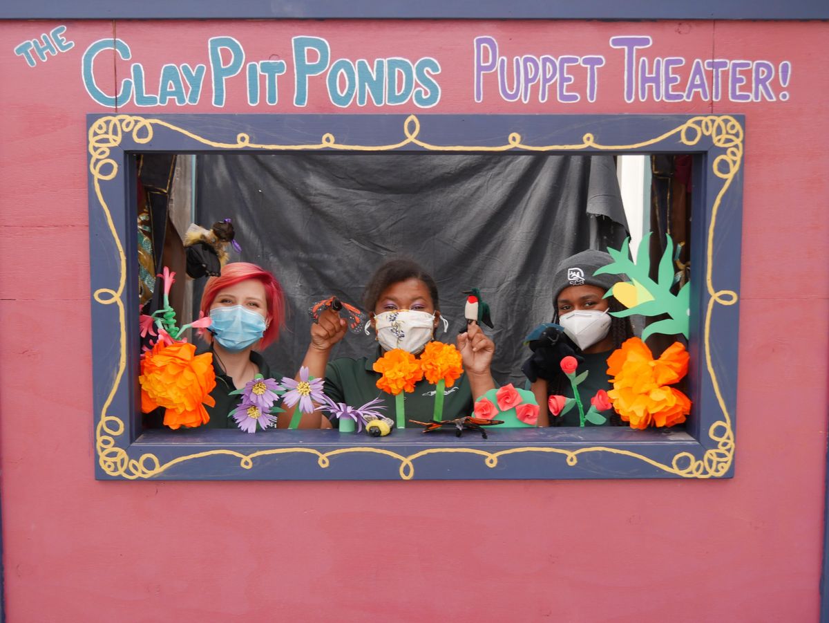 Puppets by the Playground: The Plight of the Pollinators!