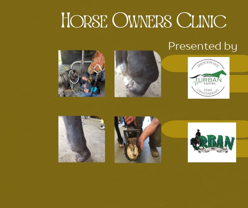 Horse Owners Clinic