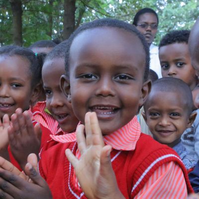 Adams Thermal Foundation