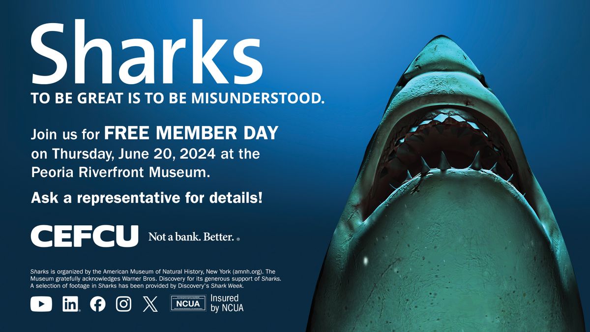 Sharks Member Day