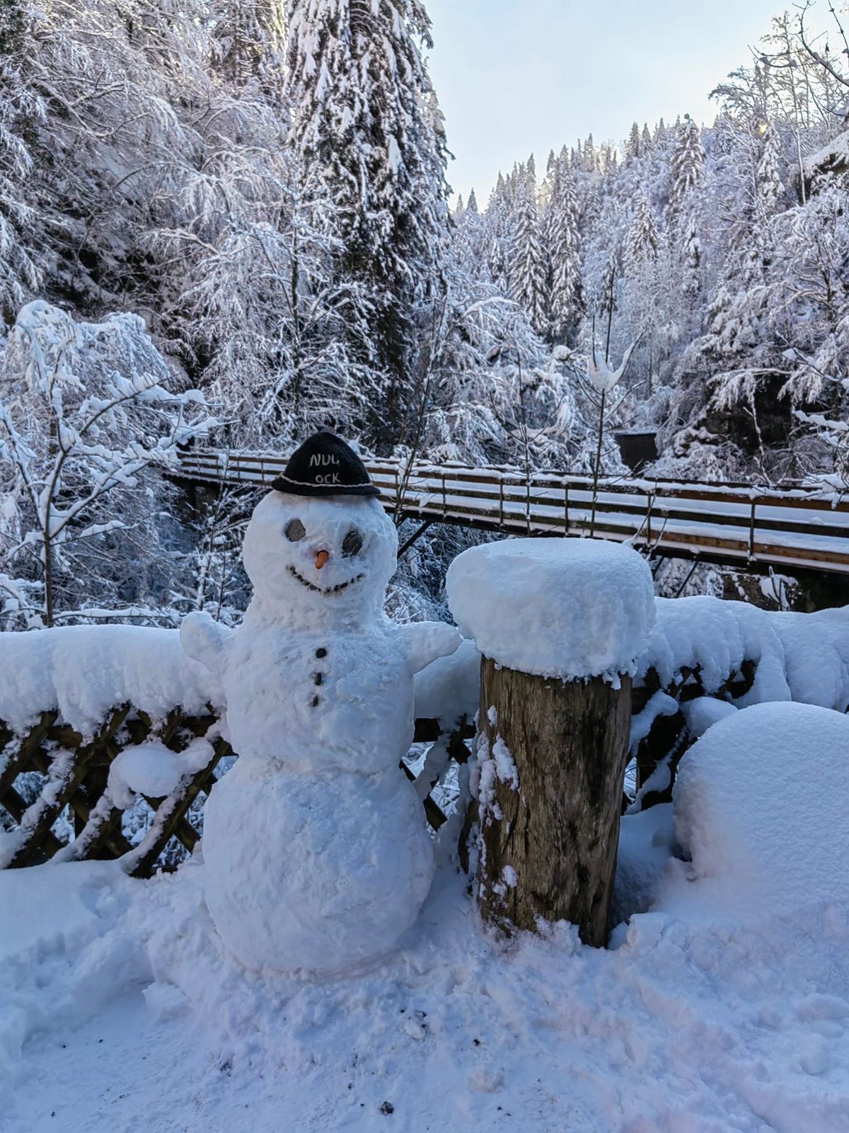 "Waldweihnacht" am Eingang zur Rappenlochschlucht 