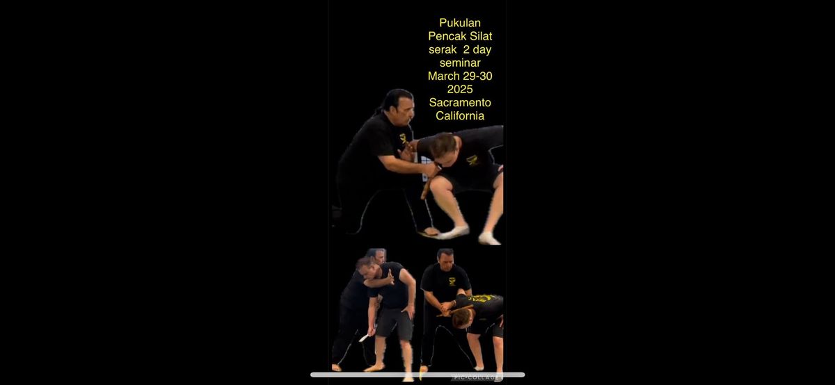 Pukulan Pencak Silat serak sacramento seminar 