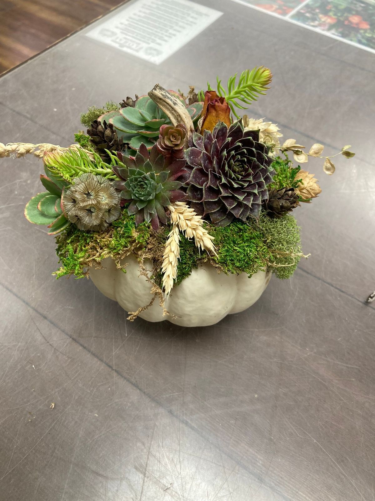 Pumpkin Succulent Workshop 