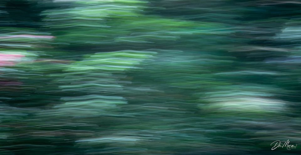 Creating Art with Motion