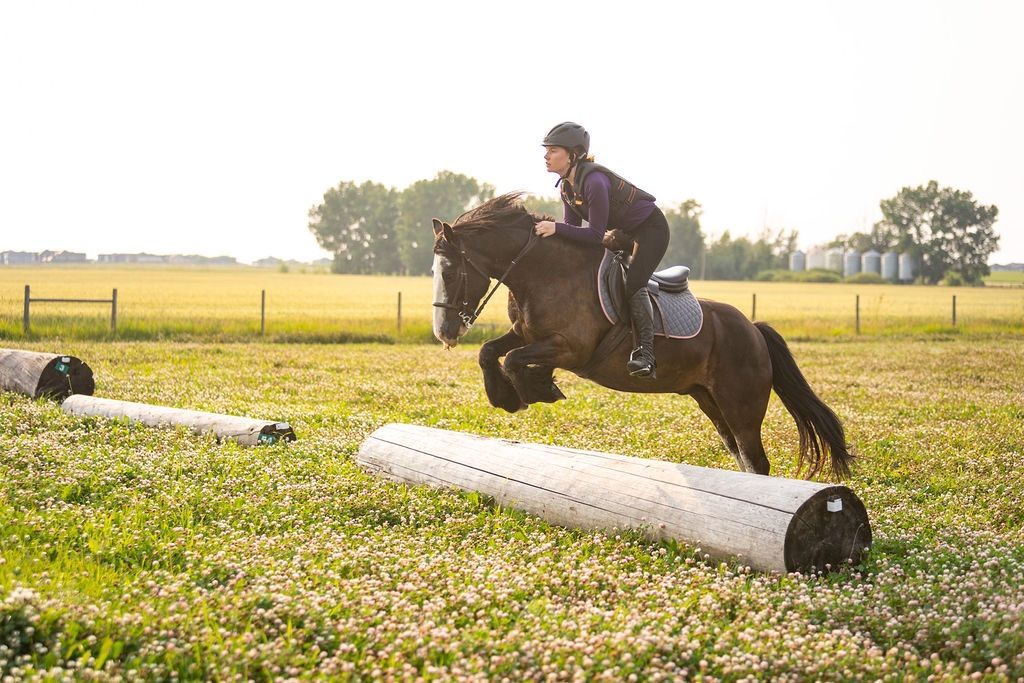 Leah Breakey Clinic @ Mystic Meadows Equine