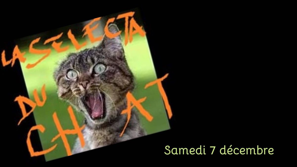 La Selecta du Chat