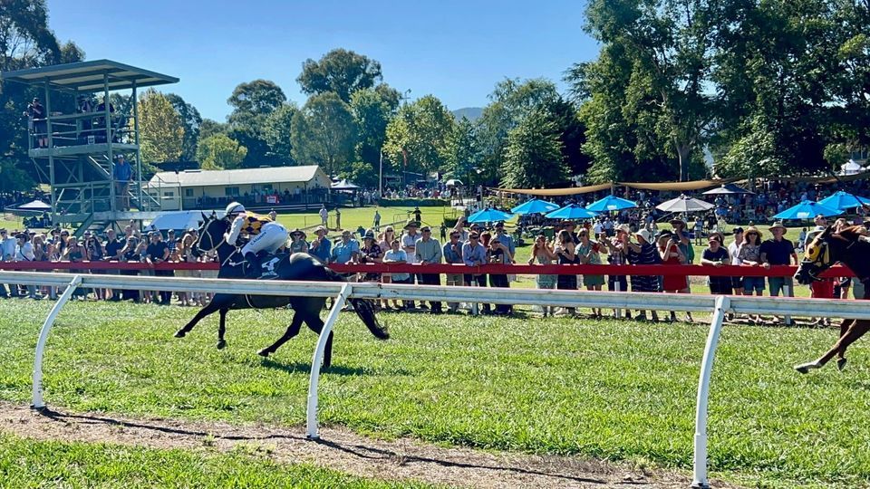 2025 Community Bank Mount Beauty & District - Dederang Picnic Races