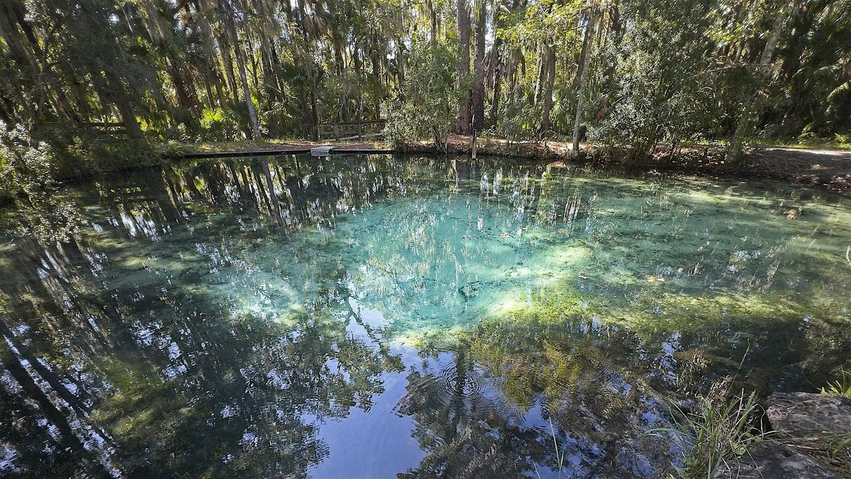 FNPS Pawpaw Chapter field trip to Mud Spring