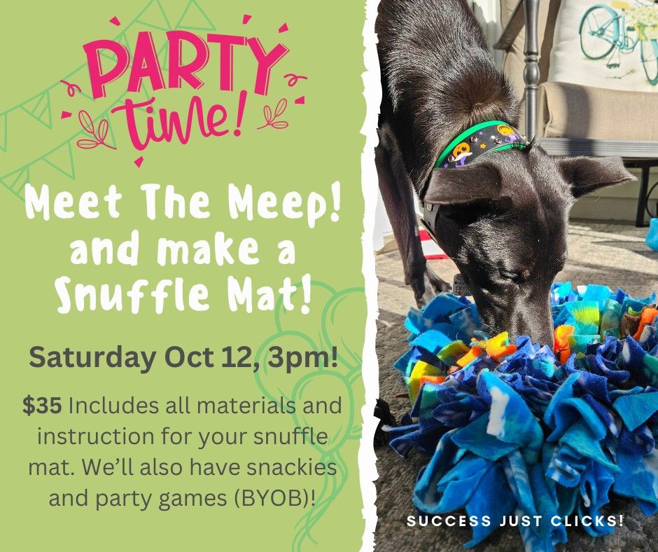 Meet The Meep and Snuffle Mat Party!