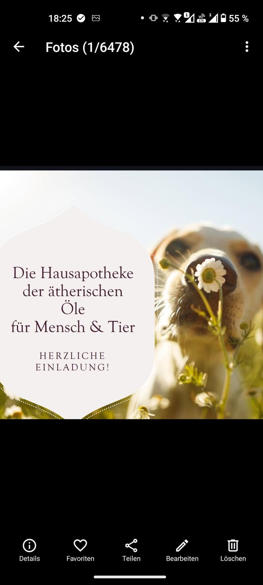 Die Hausapotheke der \u00e4therischen \u00d6le 