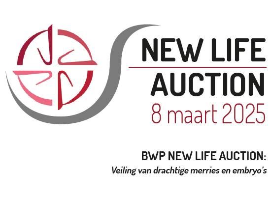 New Life Auction