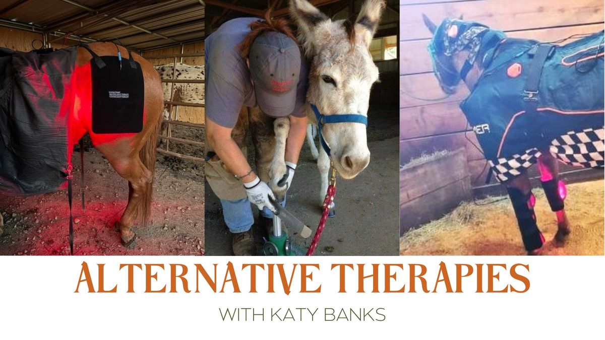 Alternative Therapies w\/ Katy Banks