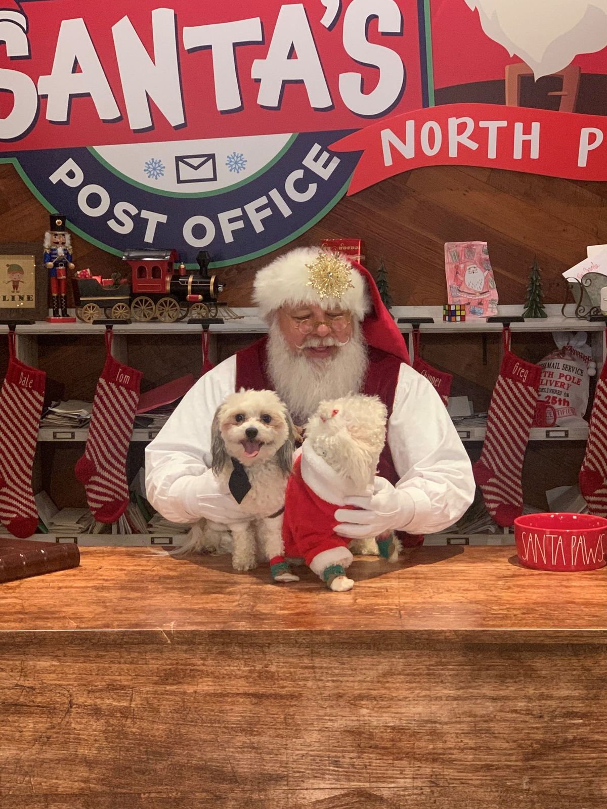 Santa Paws Presented By Truist 