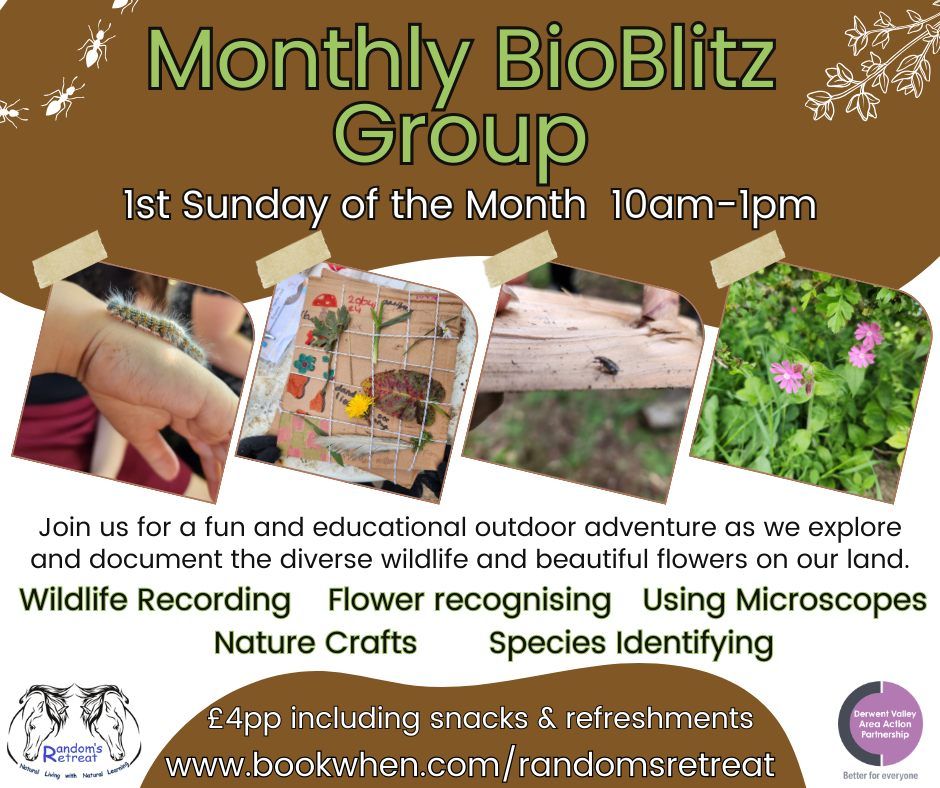 Monthly BioBlitz Group